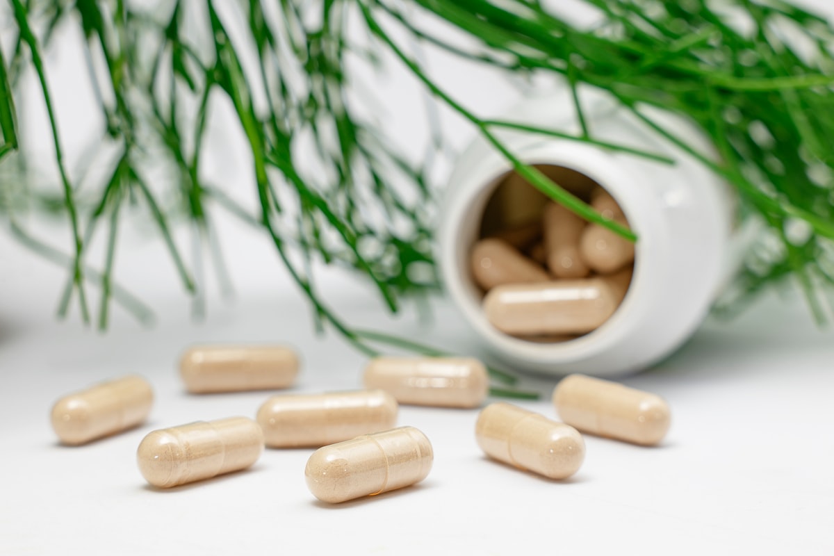 Advanced Vitality & Longevity Stack